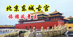 骚屄视频在线播放中国北京-东城古宫旅游风景区